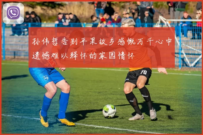 孙伟哲告别平果故乡感慨万千心中遗憾难以释怀的家园情怀